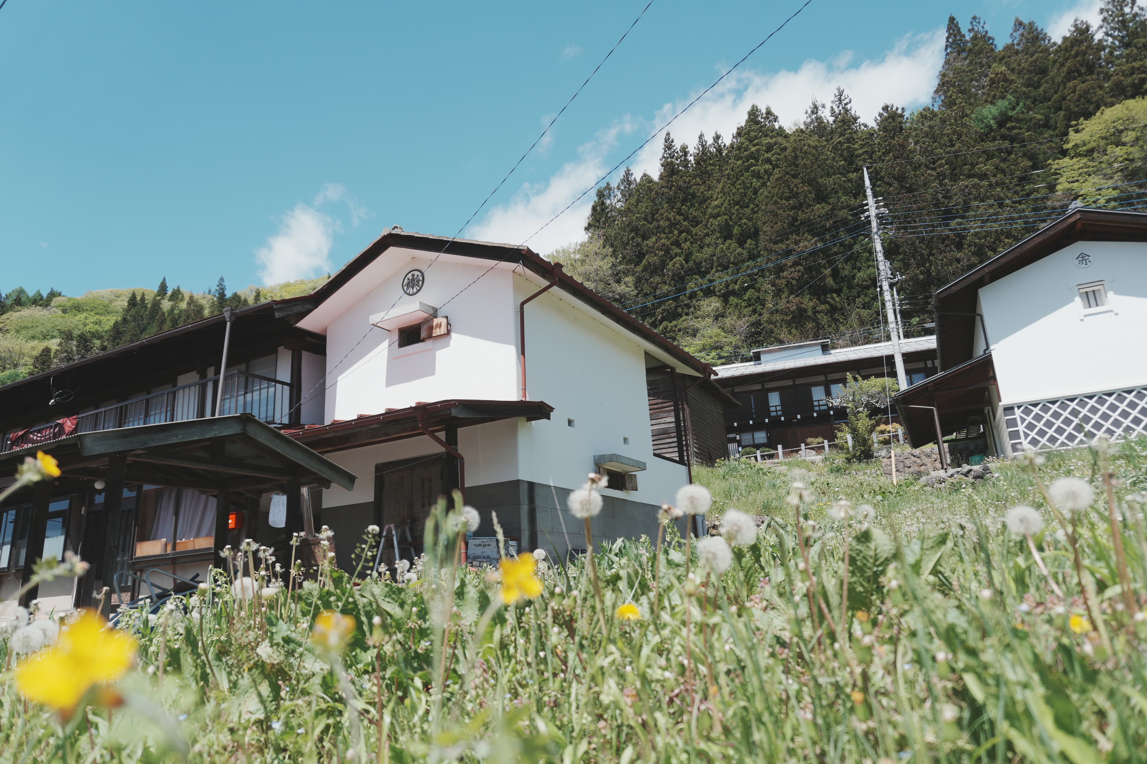 建物とたんぽぽぽの風景