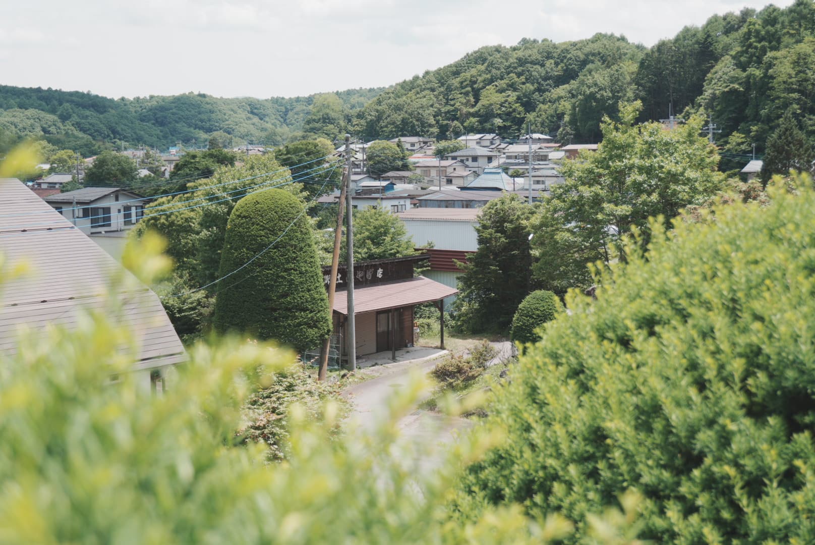 緑の山に囲まれた集落の風景
