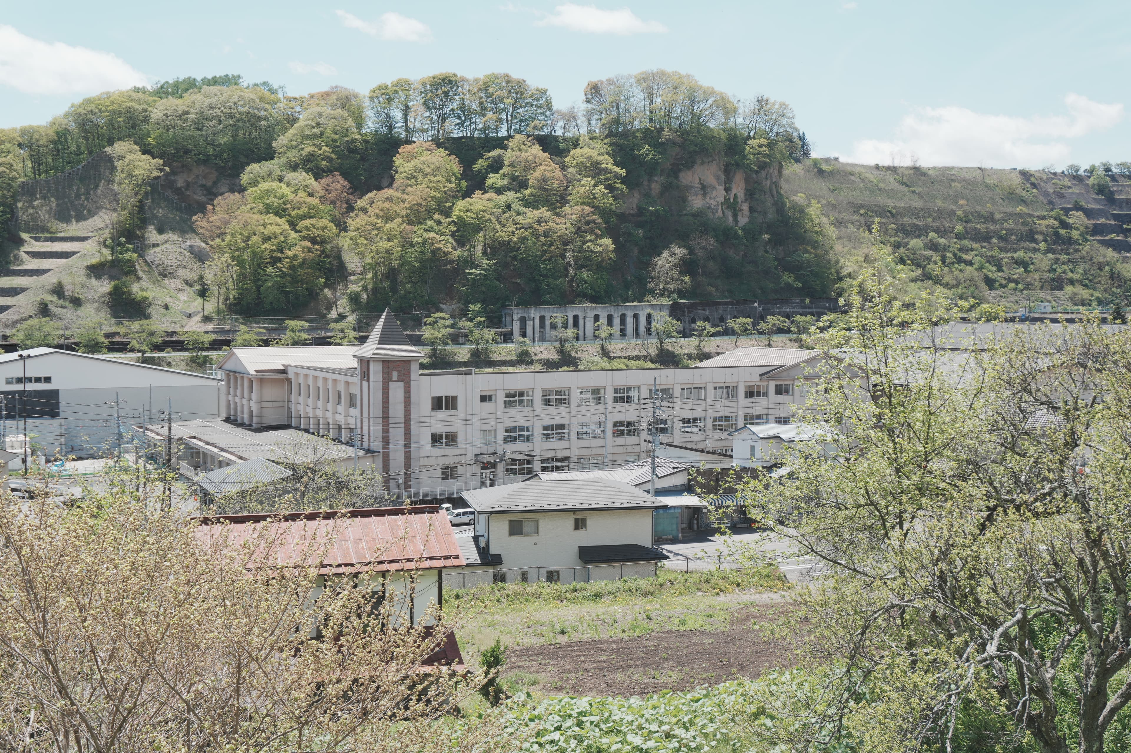 木々と建物の風景